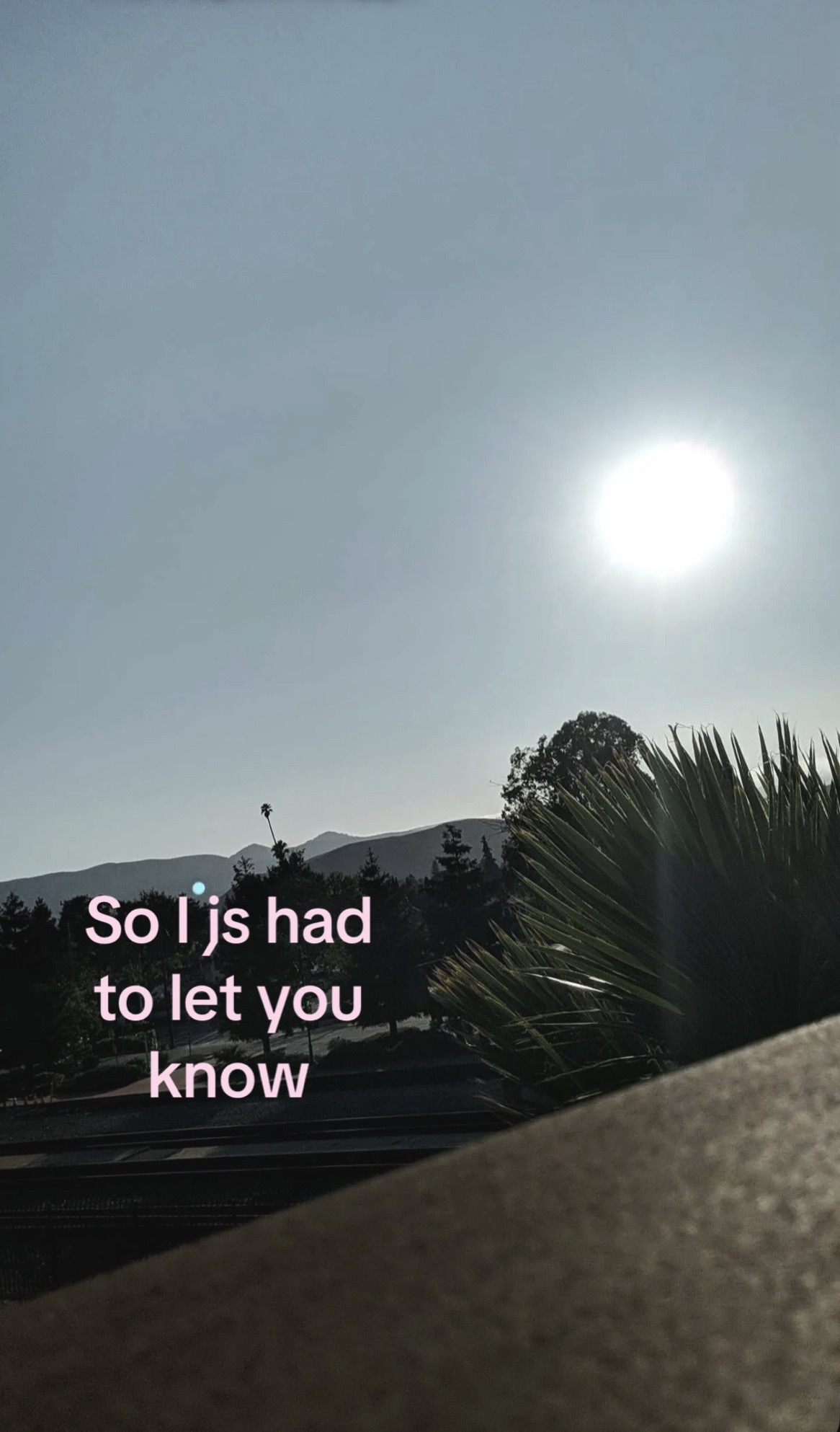 @★彡𝓜𝓮𝓵𝓲𝓼𝓼𝓪彡★