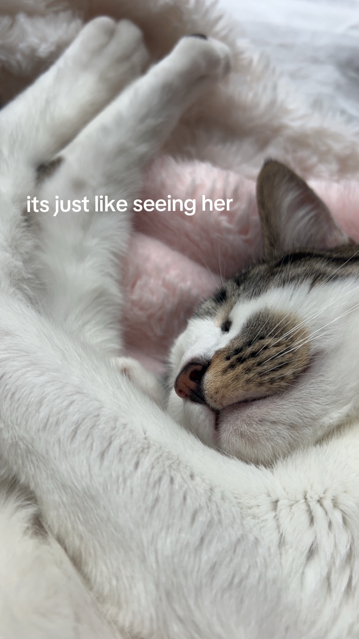 @miu