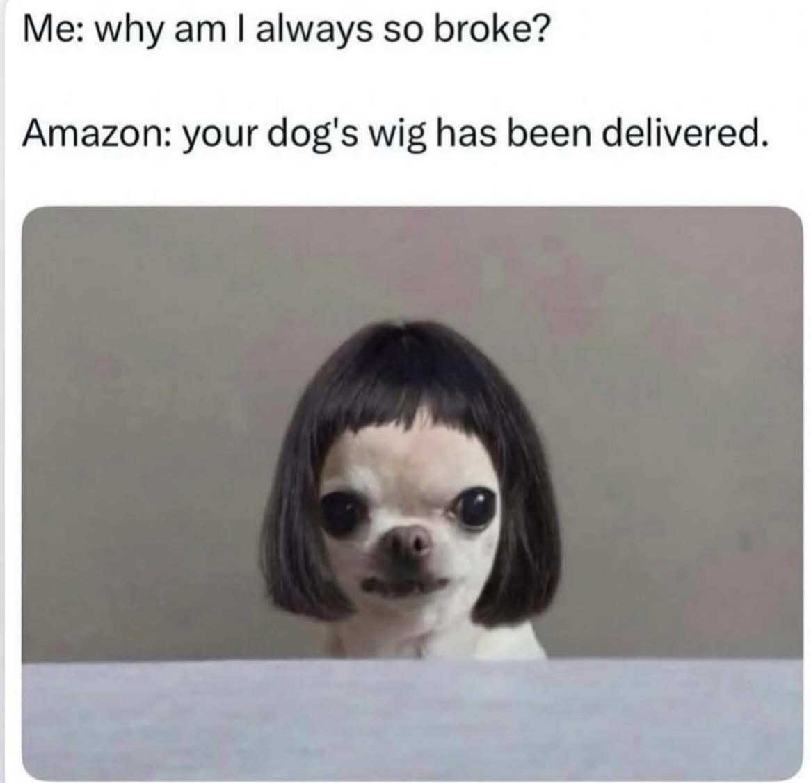 @Your friend Sunny!