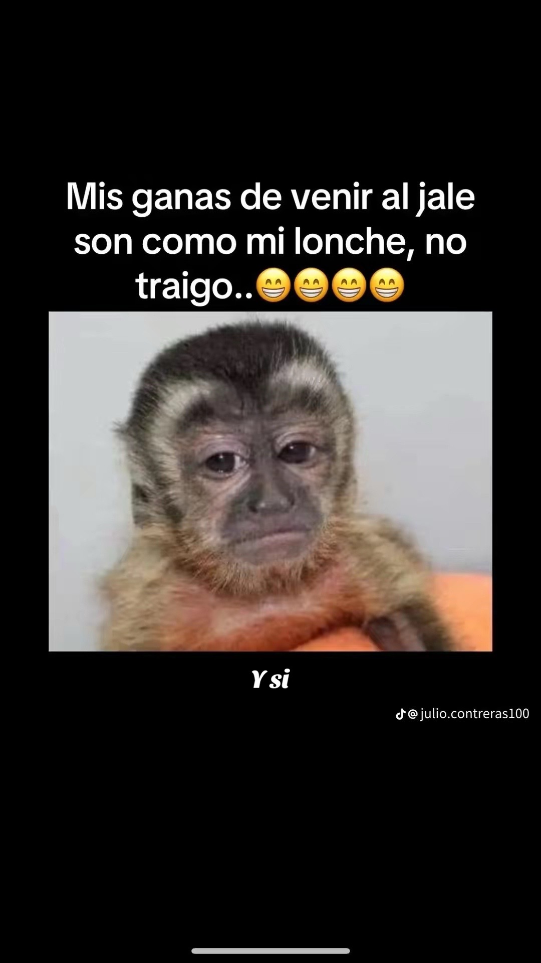 @Reynoso 🎸🫵