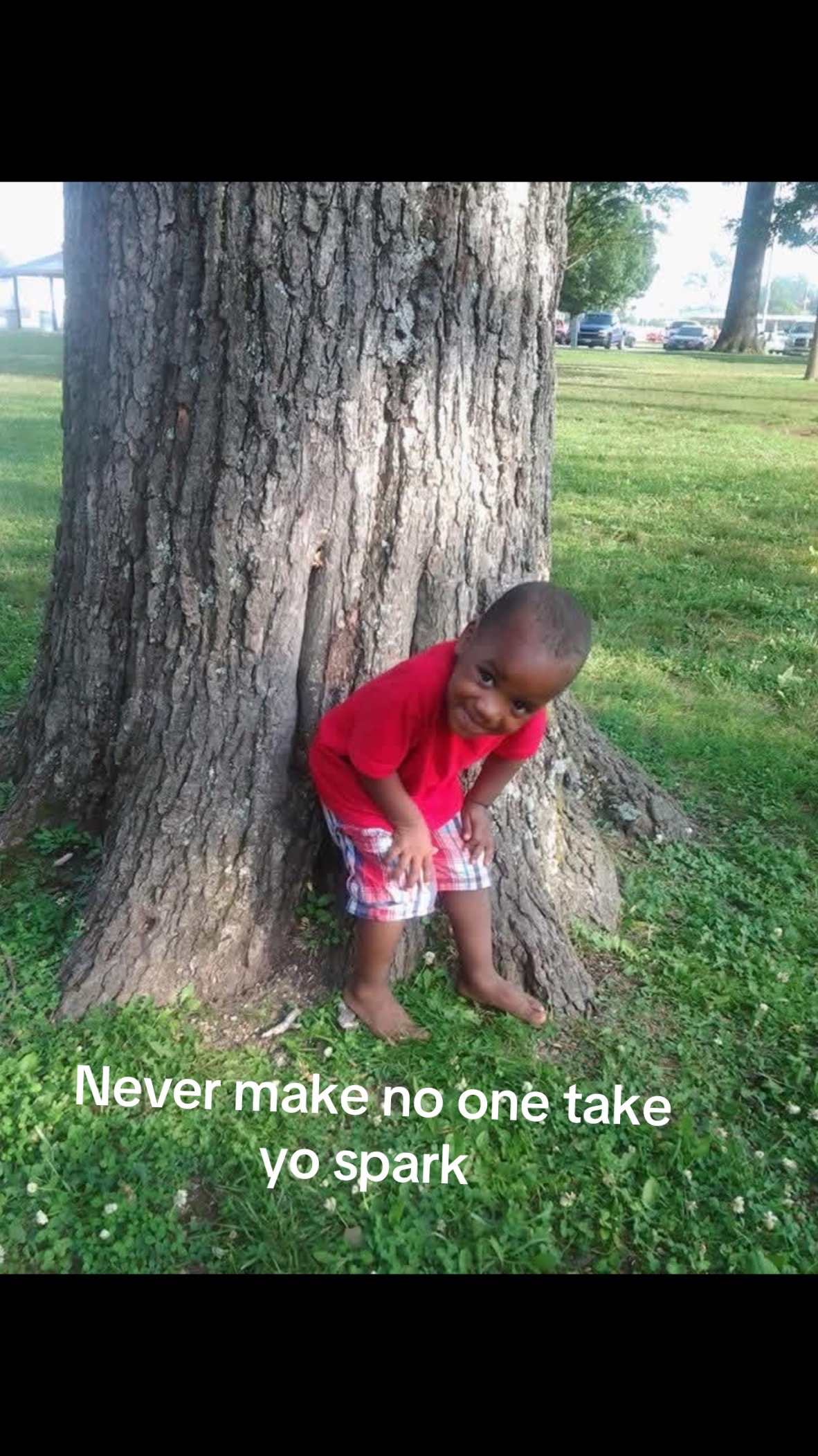 @maintapp0