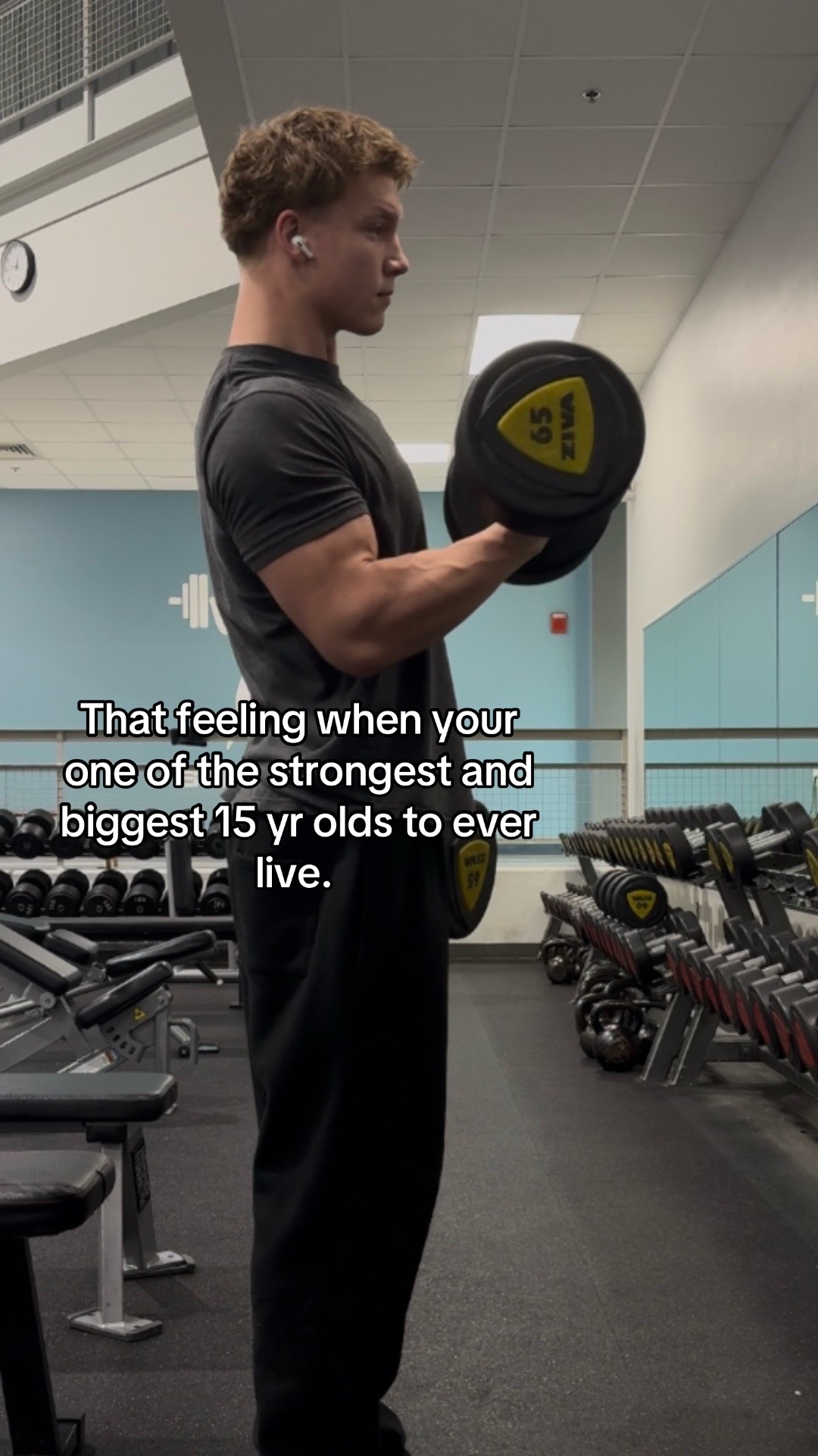 @Gauge Vogel
