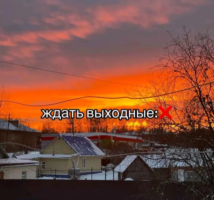 @koliapopovich