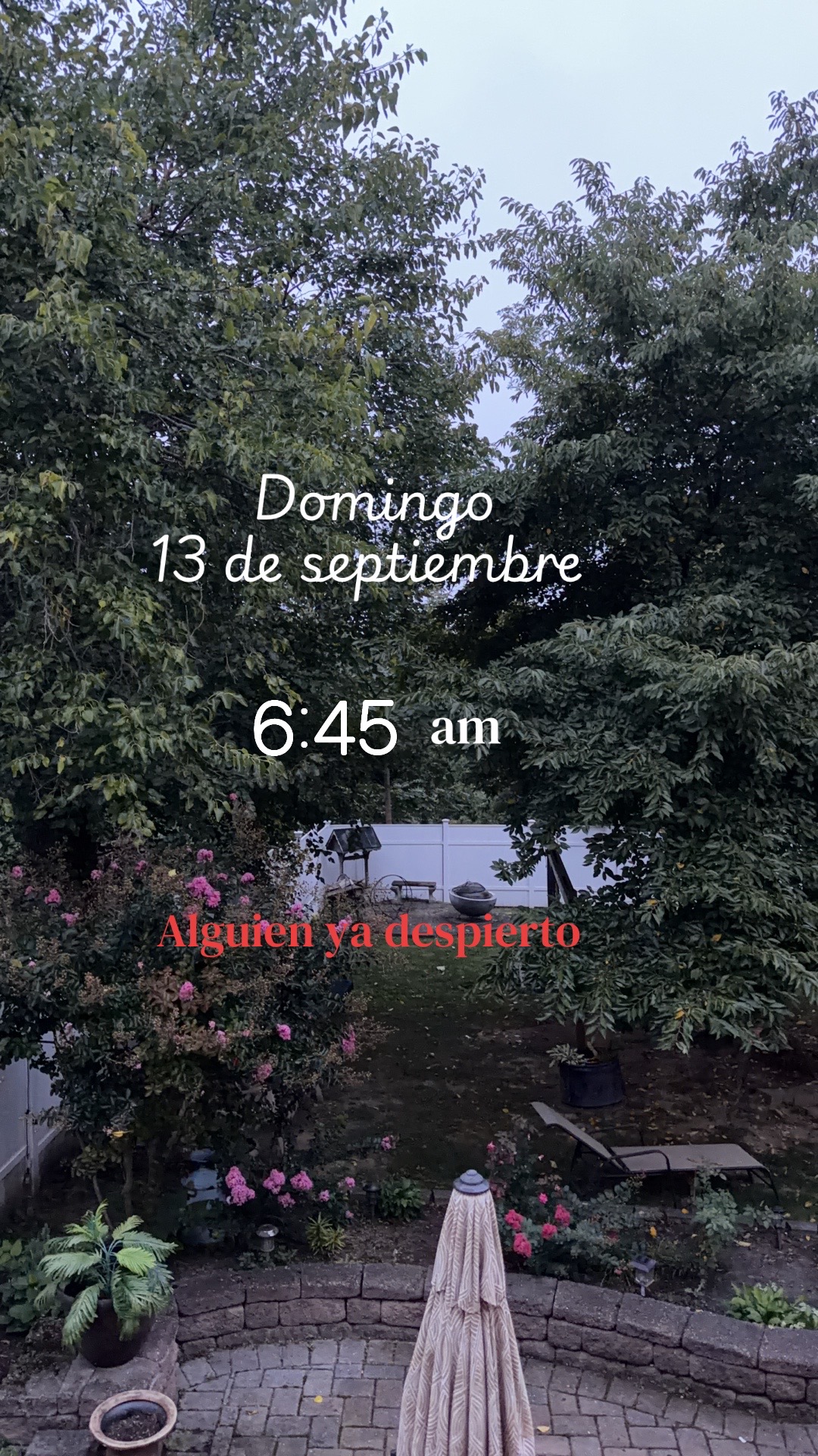 @susanamartinez1634