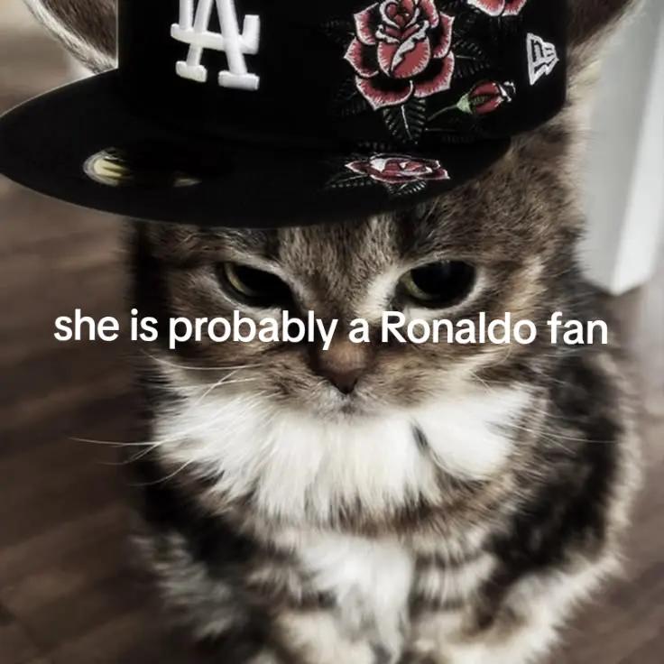 @aleyssa the cat