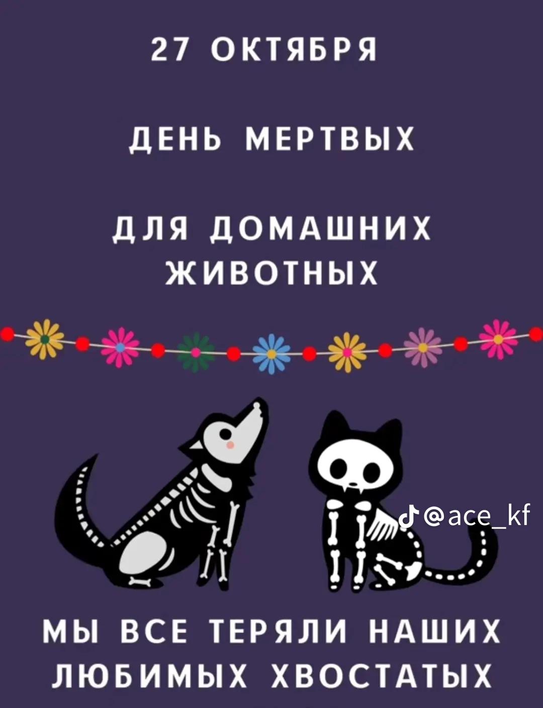 @♡~♥~Karinochka~♥~♡