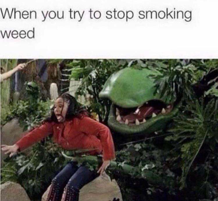 @PuffPuffPrincesses🩷👸🏽