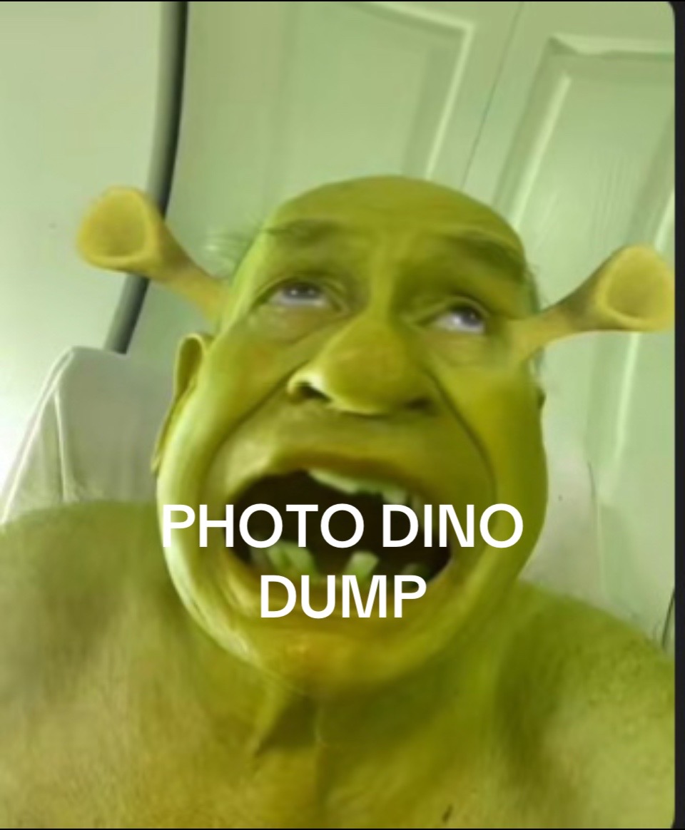 @TIGER01🦖