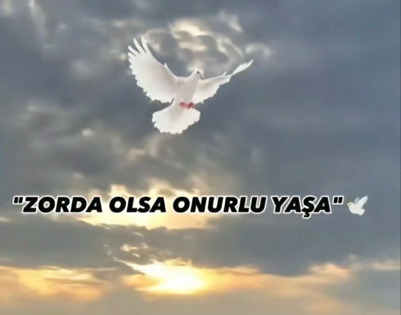 @Ahmet Şanlı