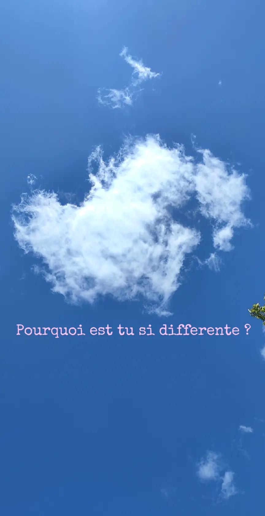 @trognon de pommes