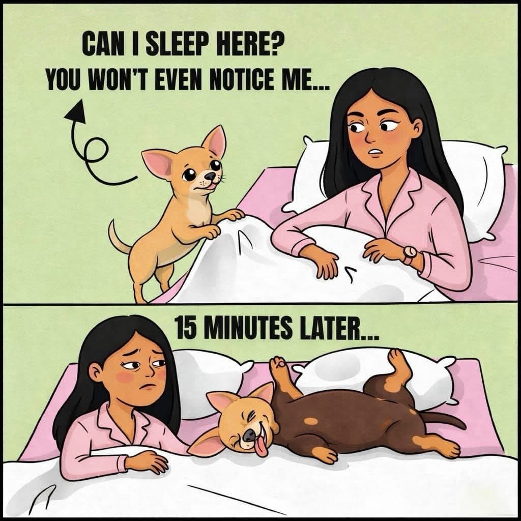 @ginnyranno