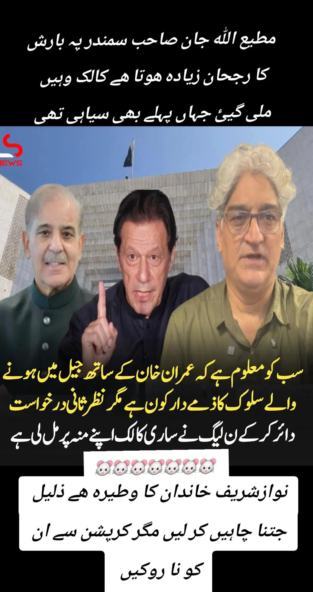 @اڈیالہ 804
