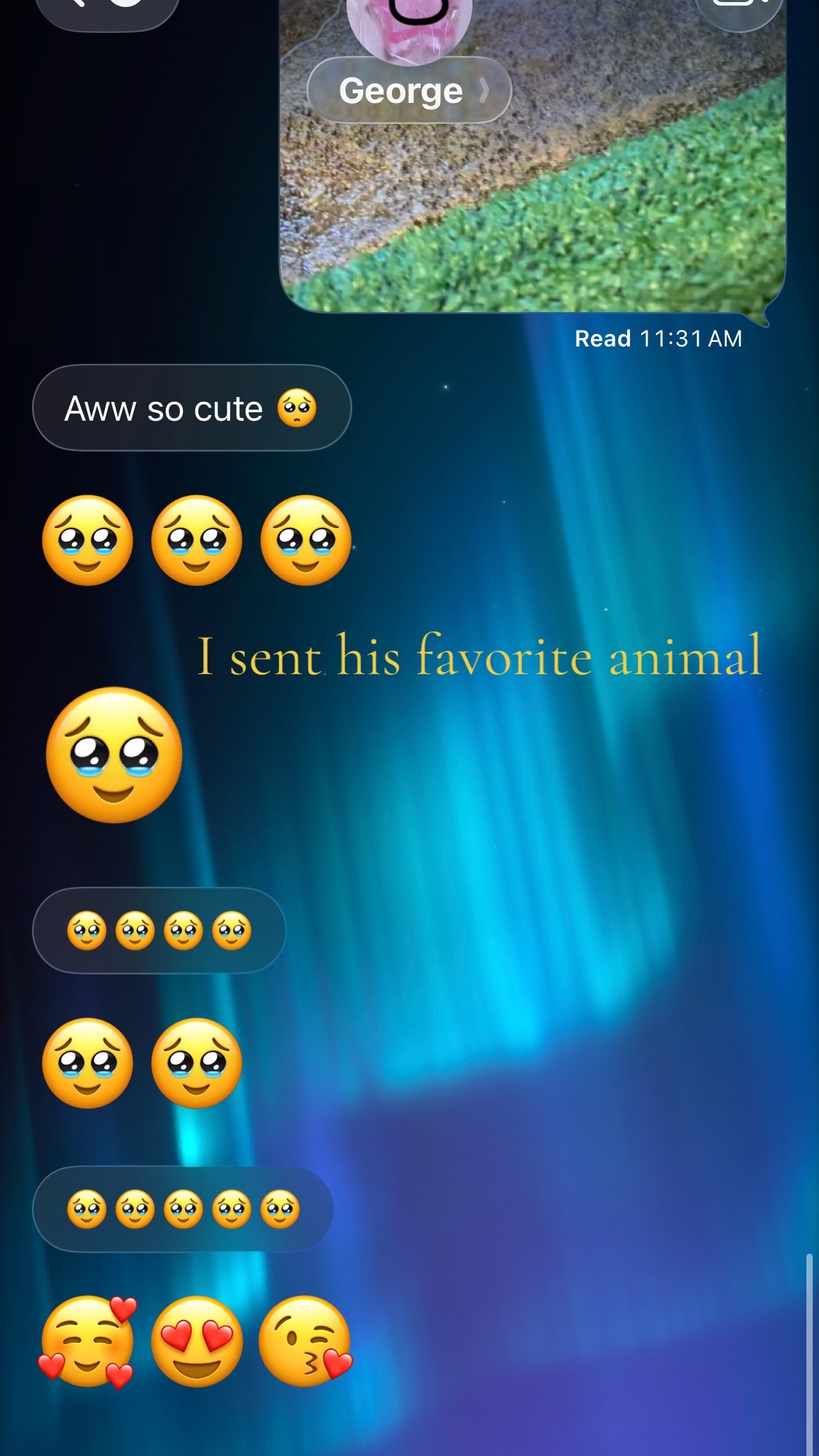 @Yourlocalanimalcompanyplayer:D