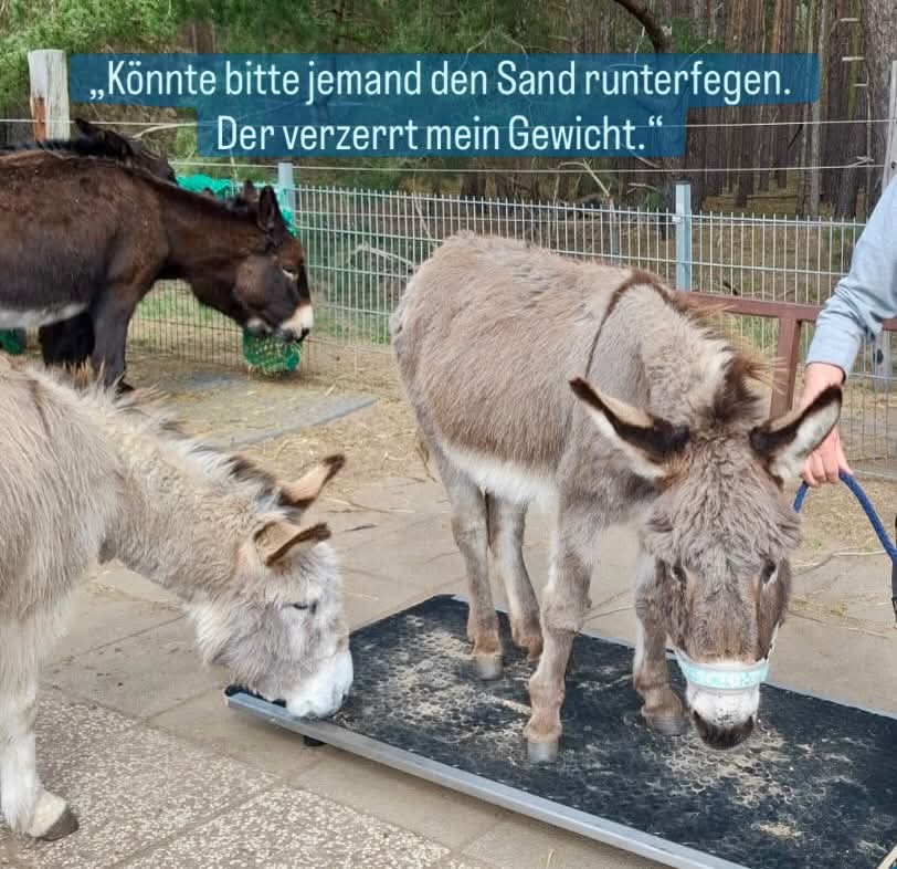 @Eselfreunde im Havelland e.V