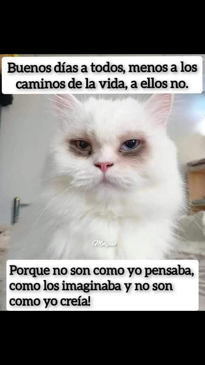 @tu persona favorita 💕