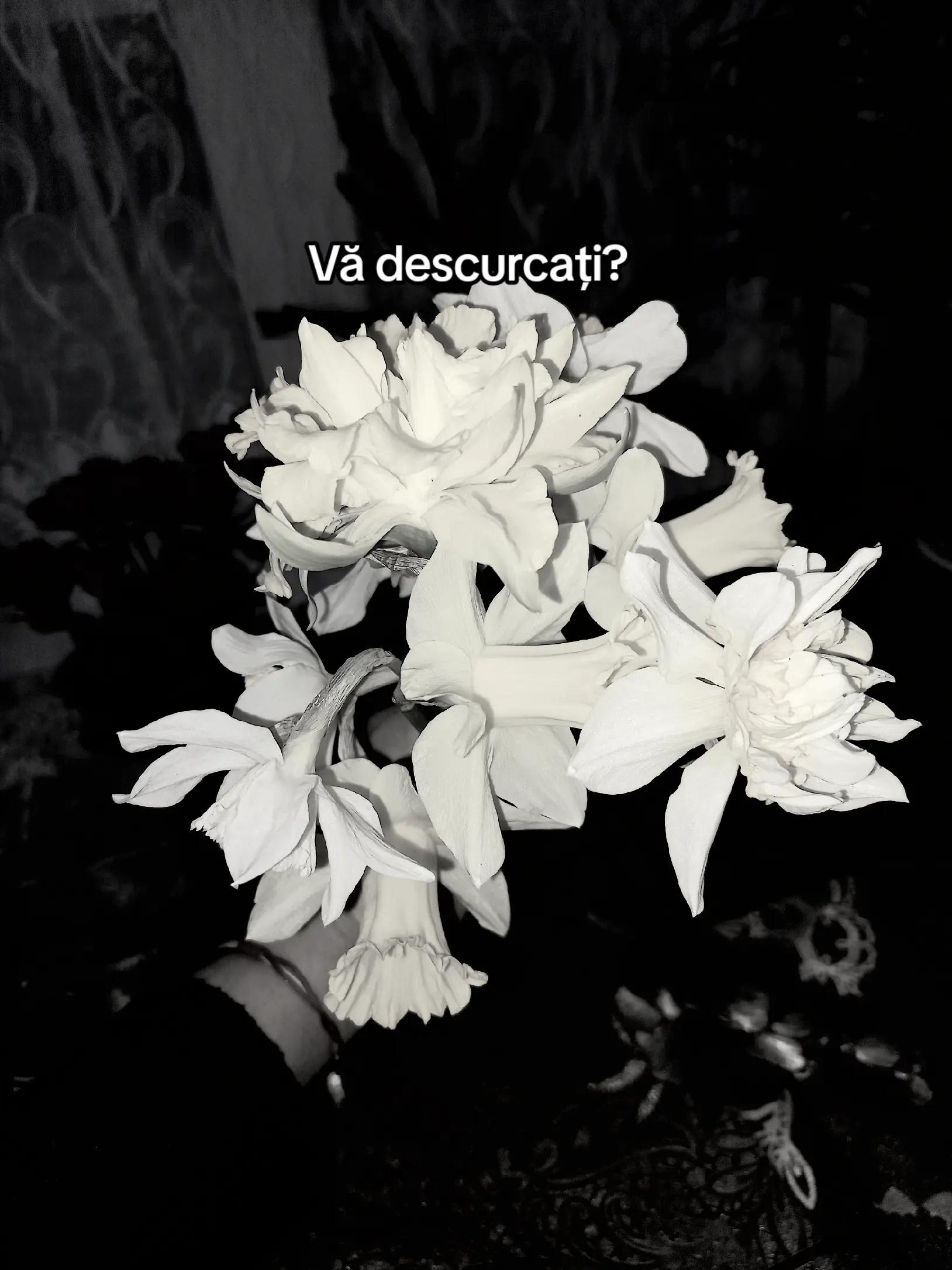 @&bull;𝙰𝚕𝚎𝚡𝚊𝚗𝚍𝚛𝚊&bull;🎀🌸