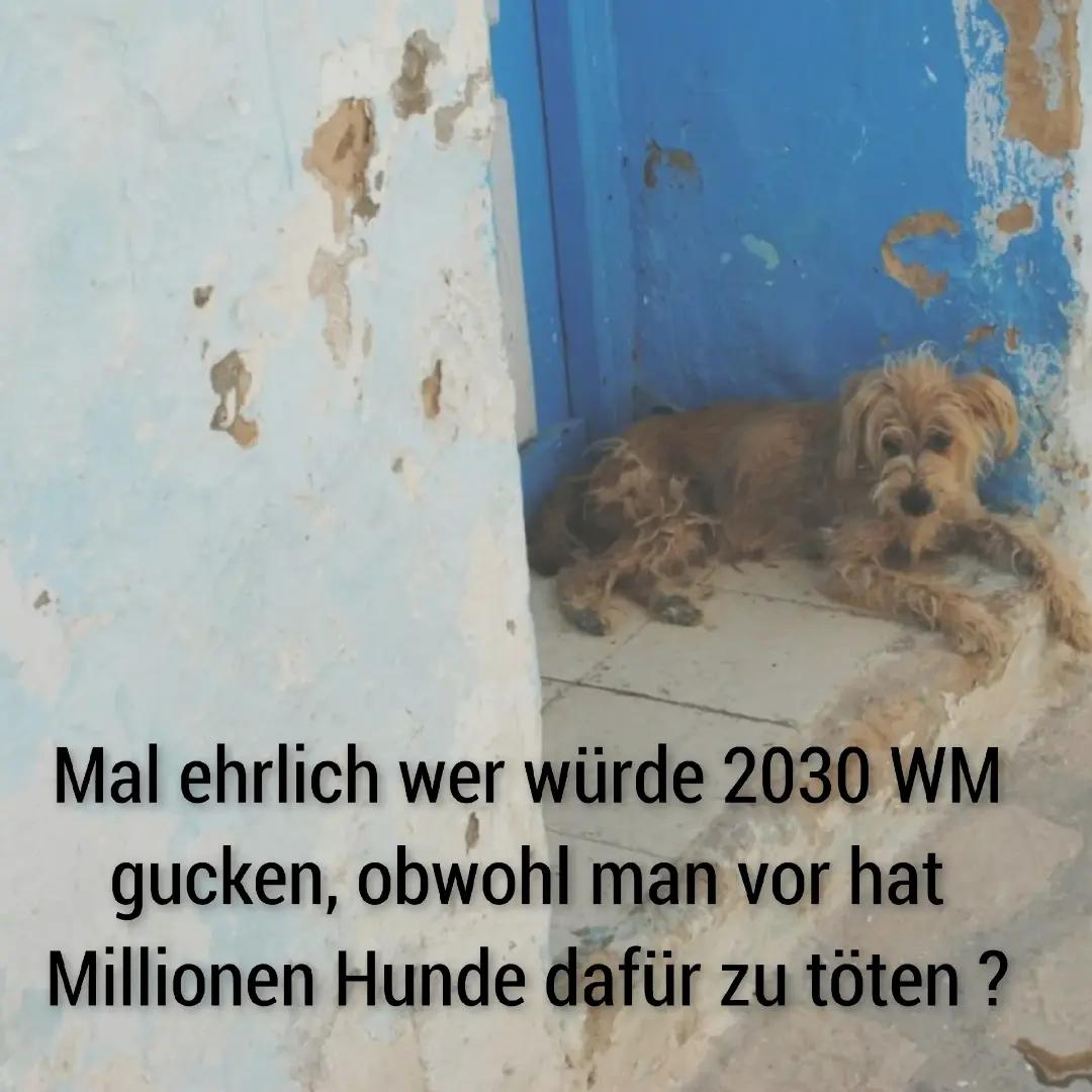 @Sonnenschein 1940