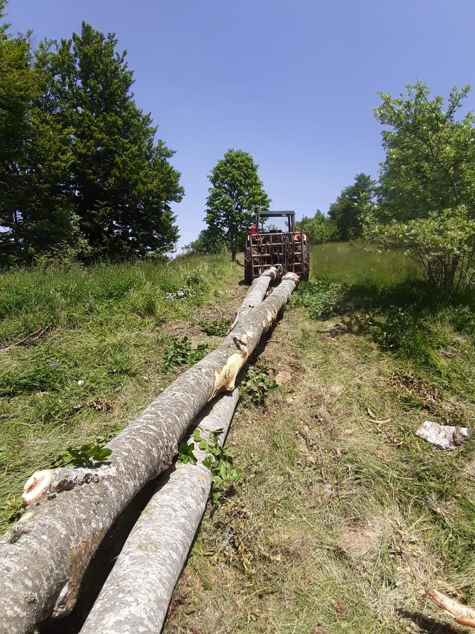@🌲VRANIĆ🌲