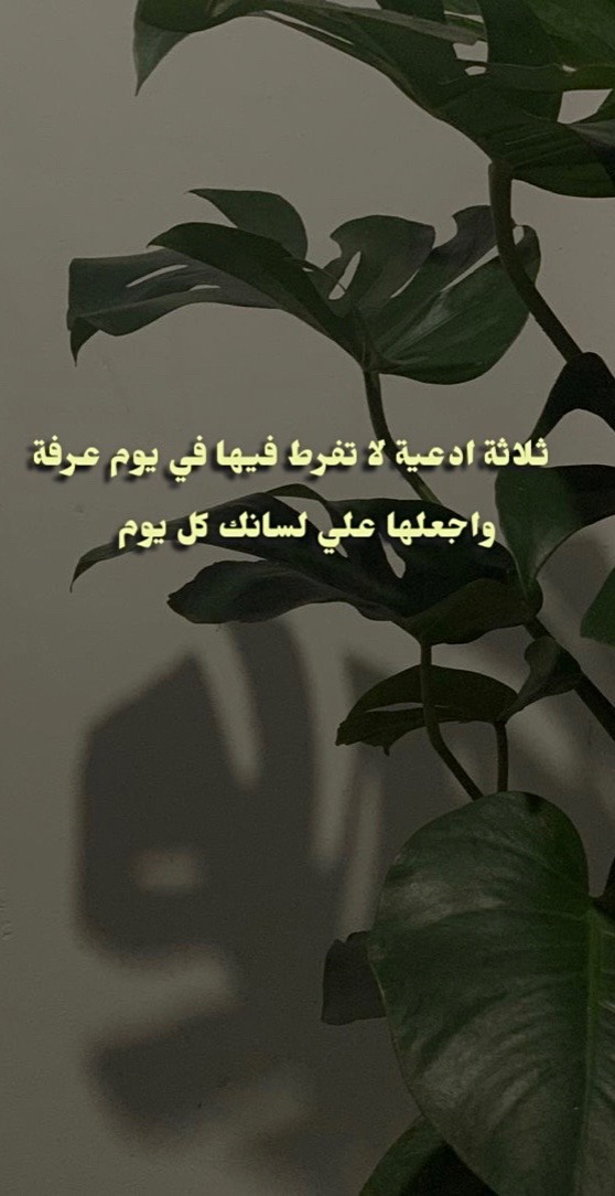 @iisslaaam_