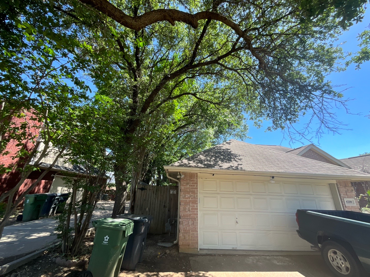 @Live Oak Tree Service