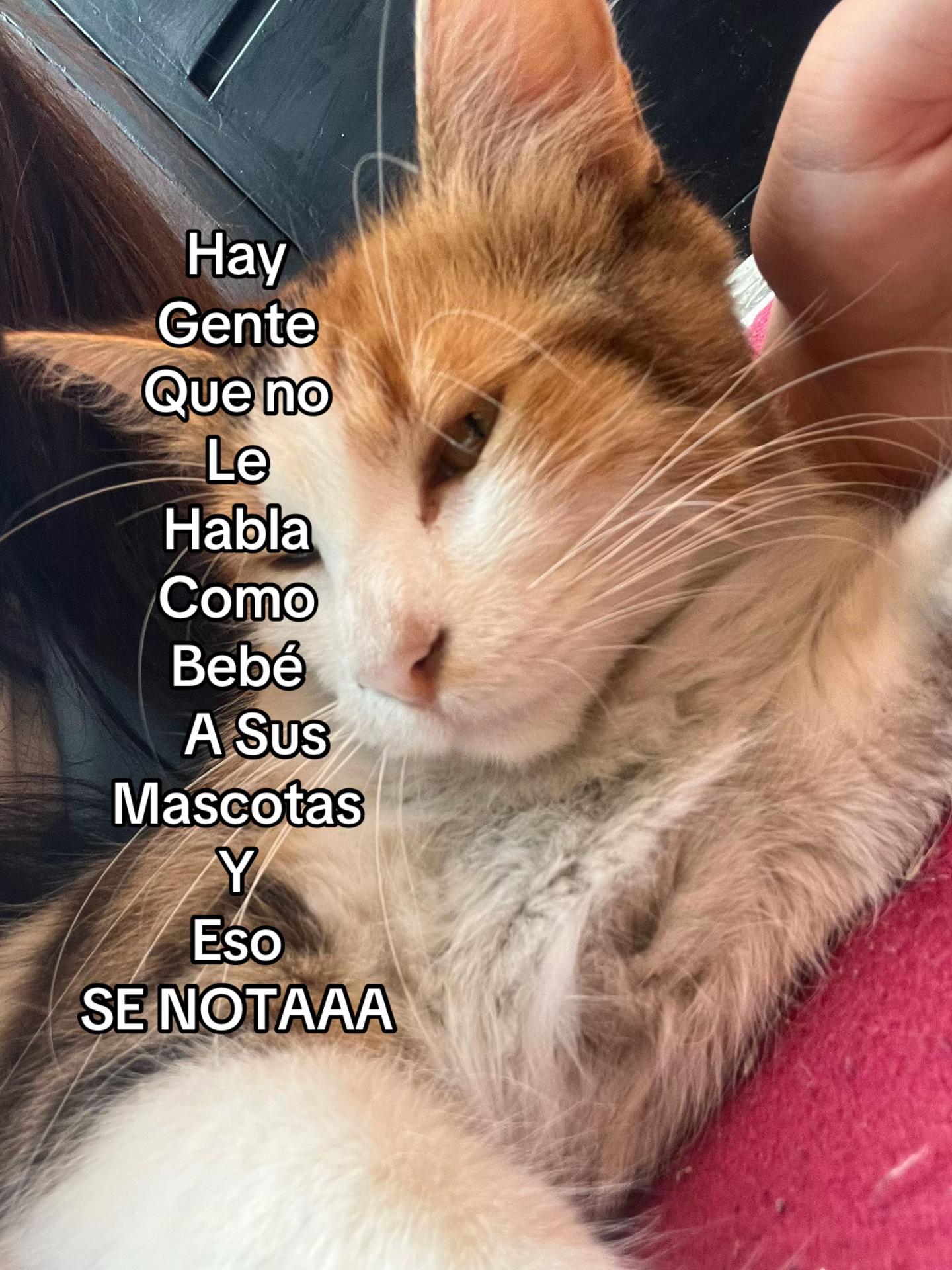 @Compartidos✌️✌️