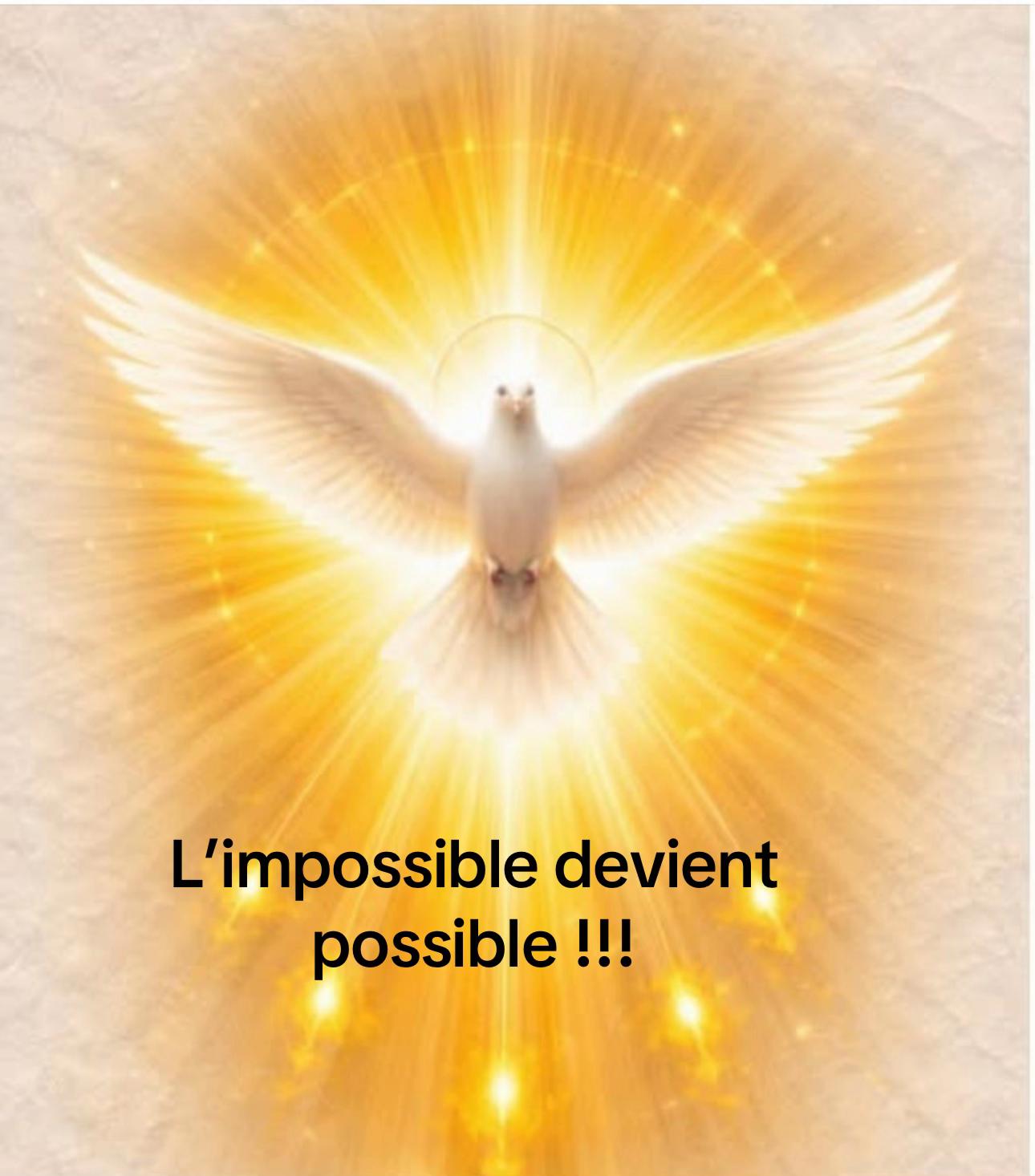 @Francois BARRE Marylyn