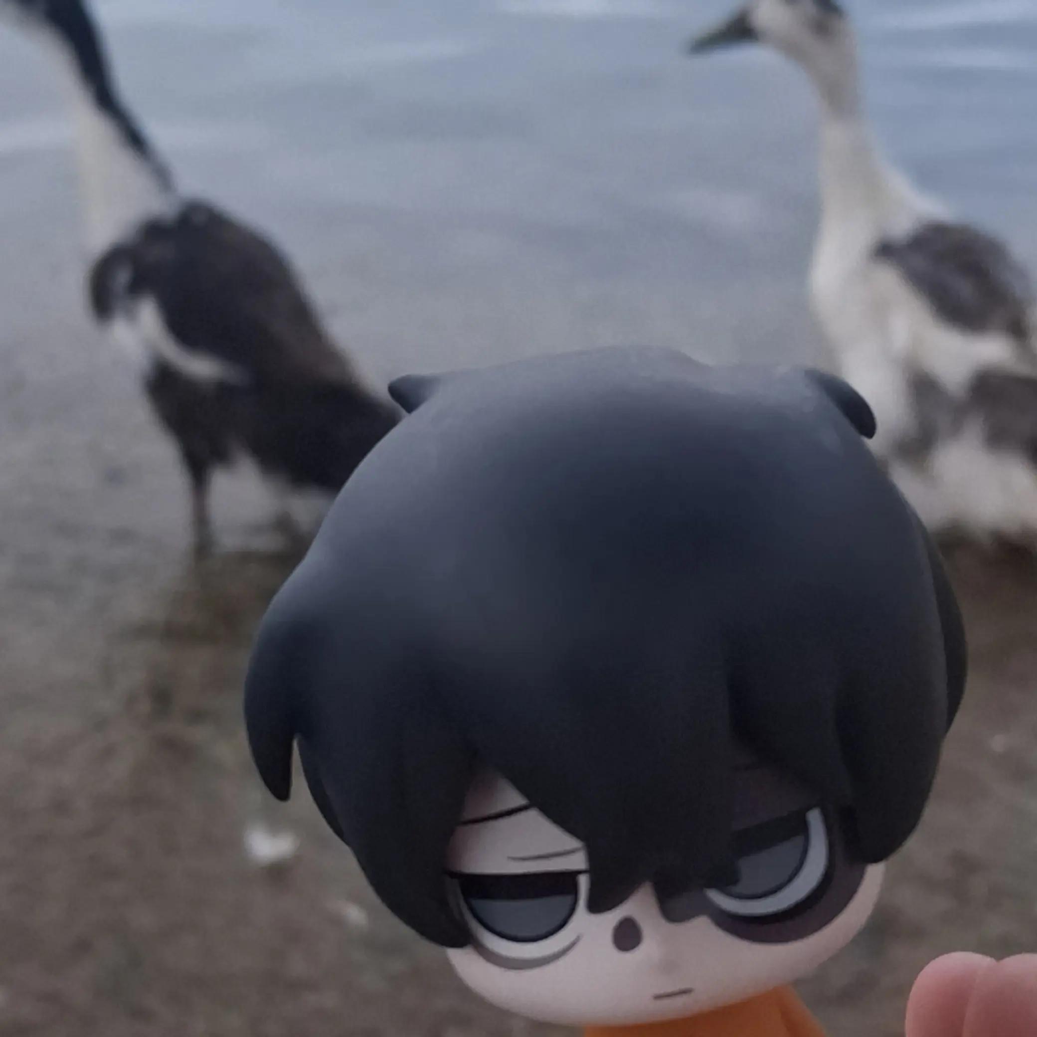 @♡ ֹ 𝐹𝑢𝑐ℎ𝑖 𝑠𝑢𝑛𝑎𝑜 𓂅 ̼