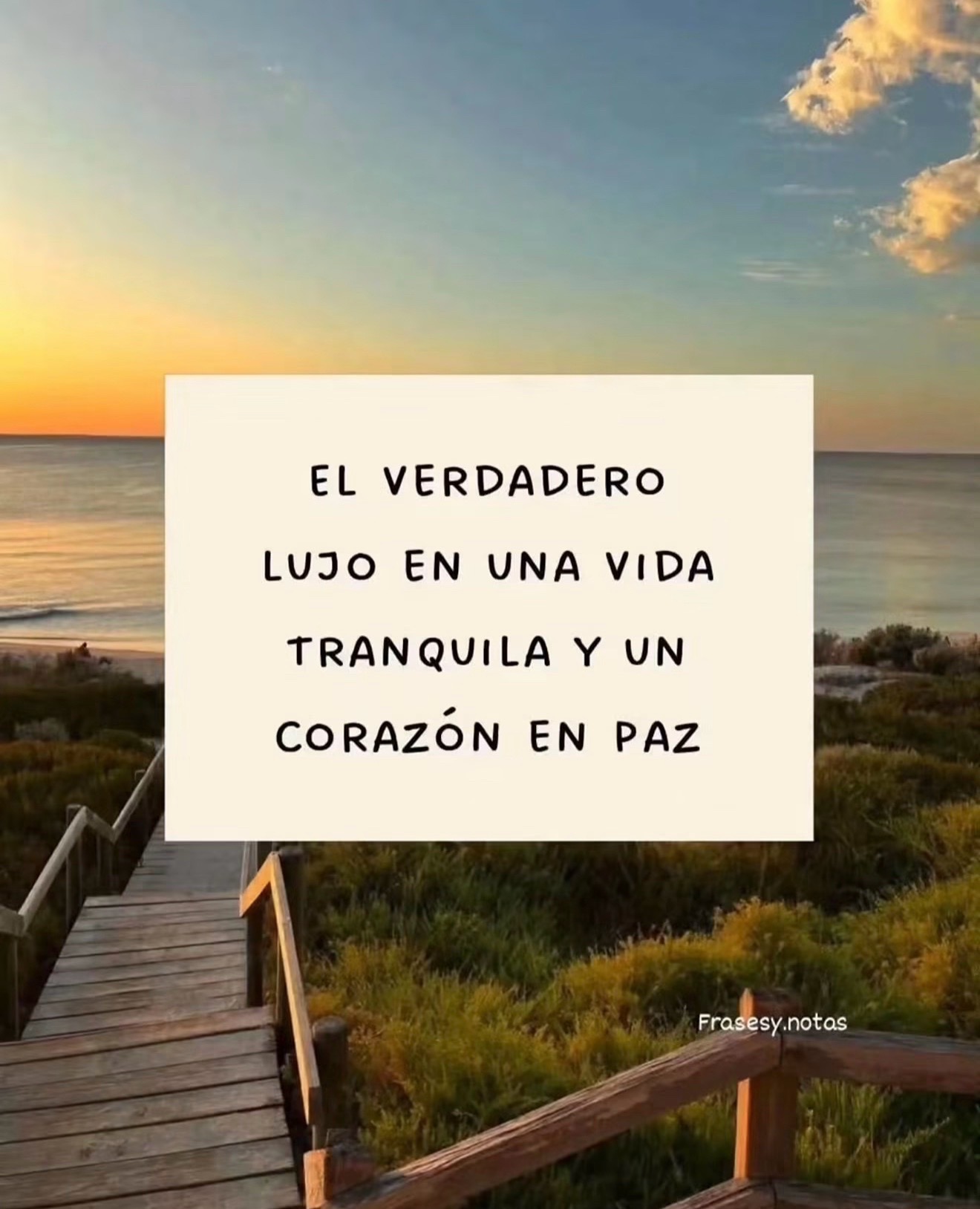 @la_jimagua❤️🤍♑️