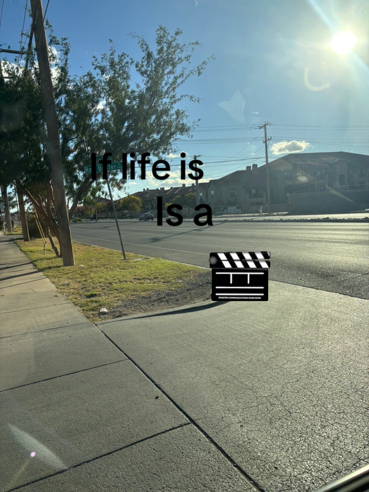 @Selene Sifuentes