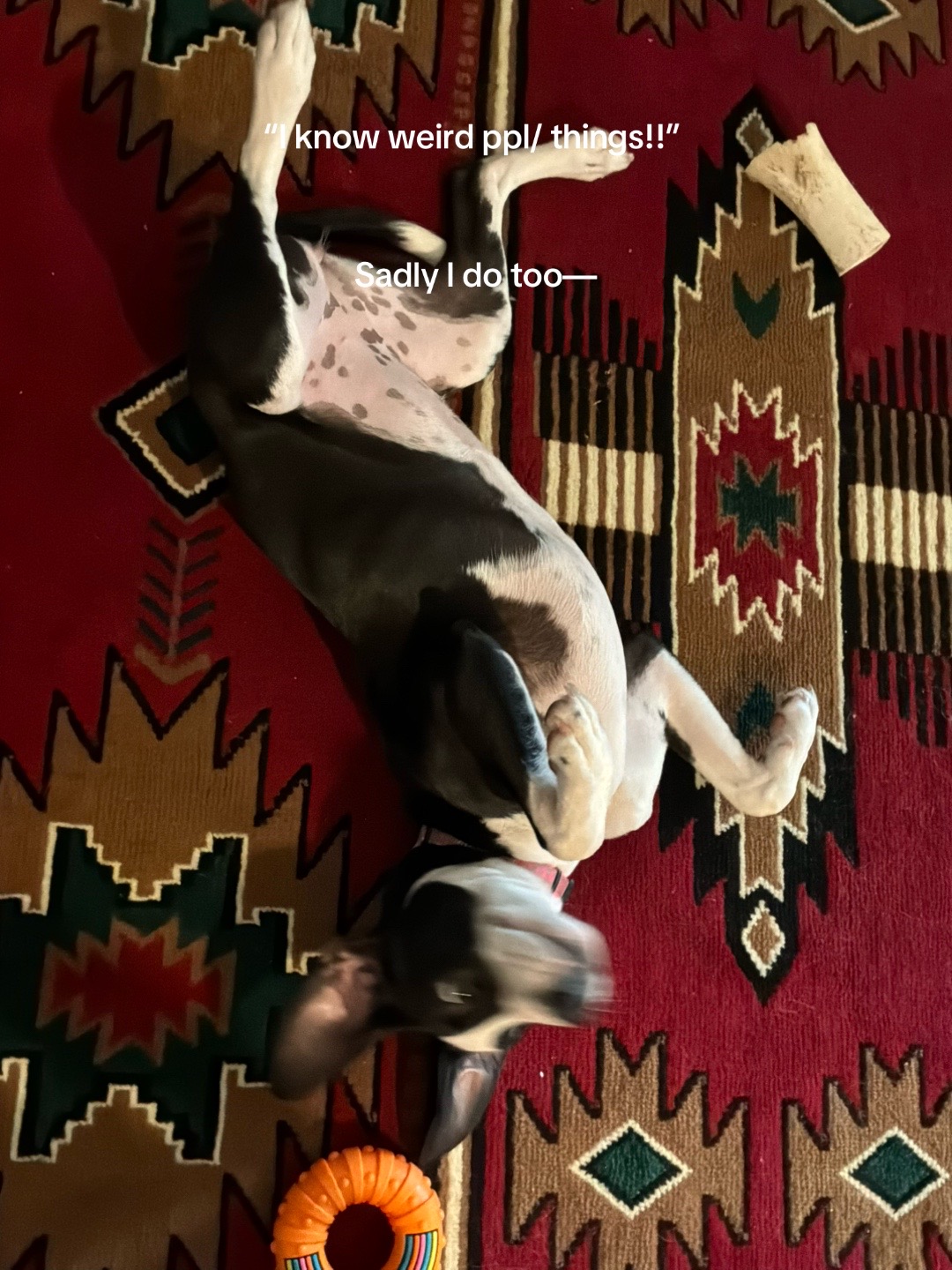 @> Kai <
