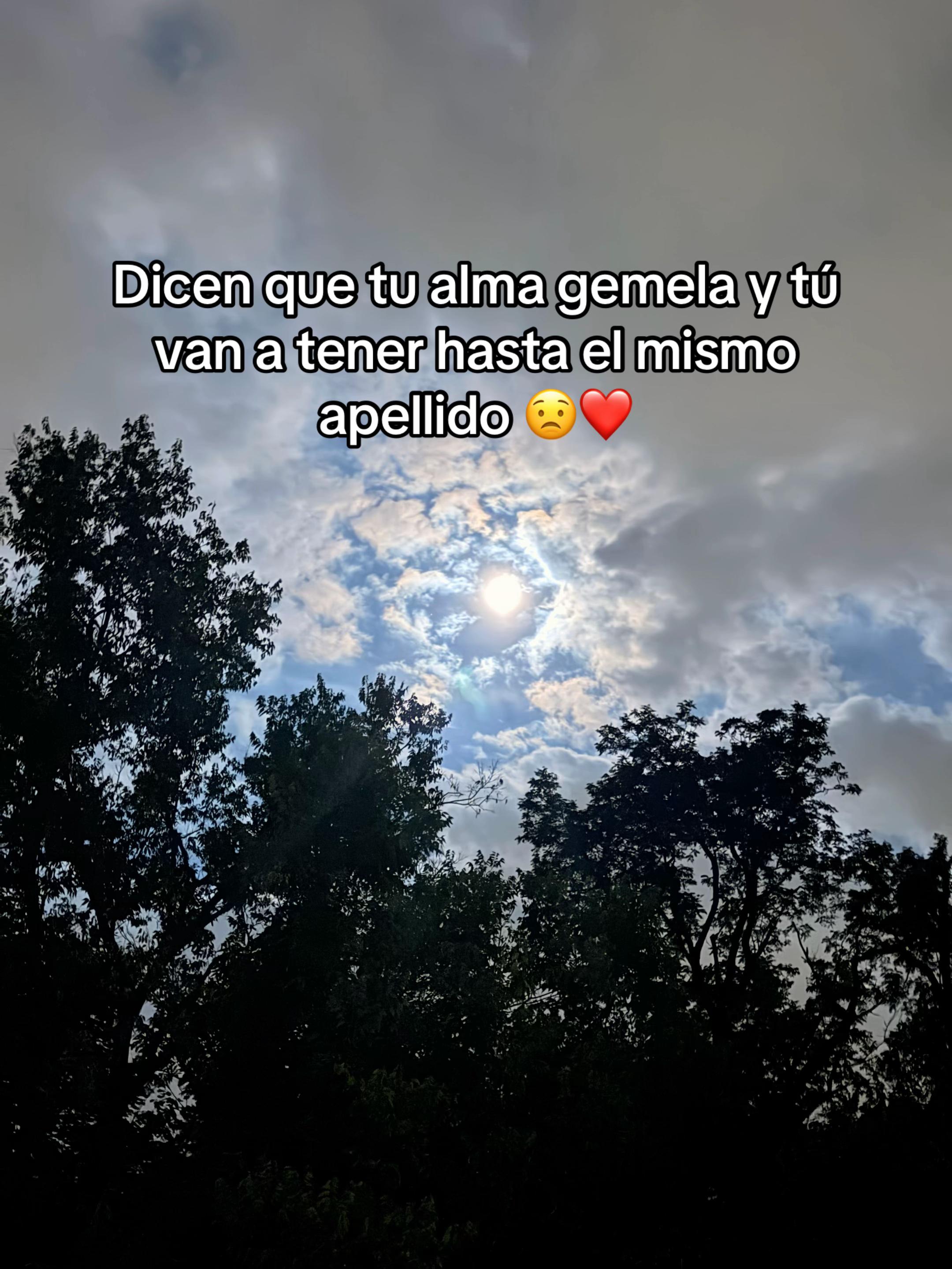 @Violeta 🦂