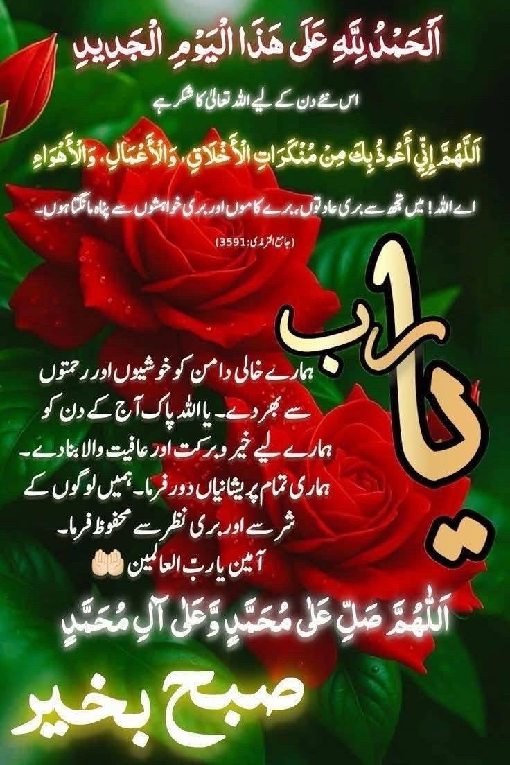@user9116008158843