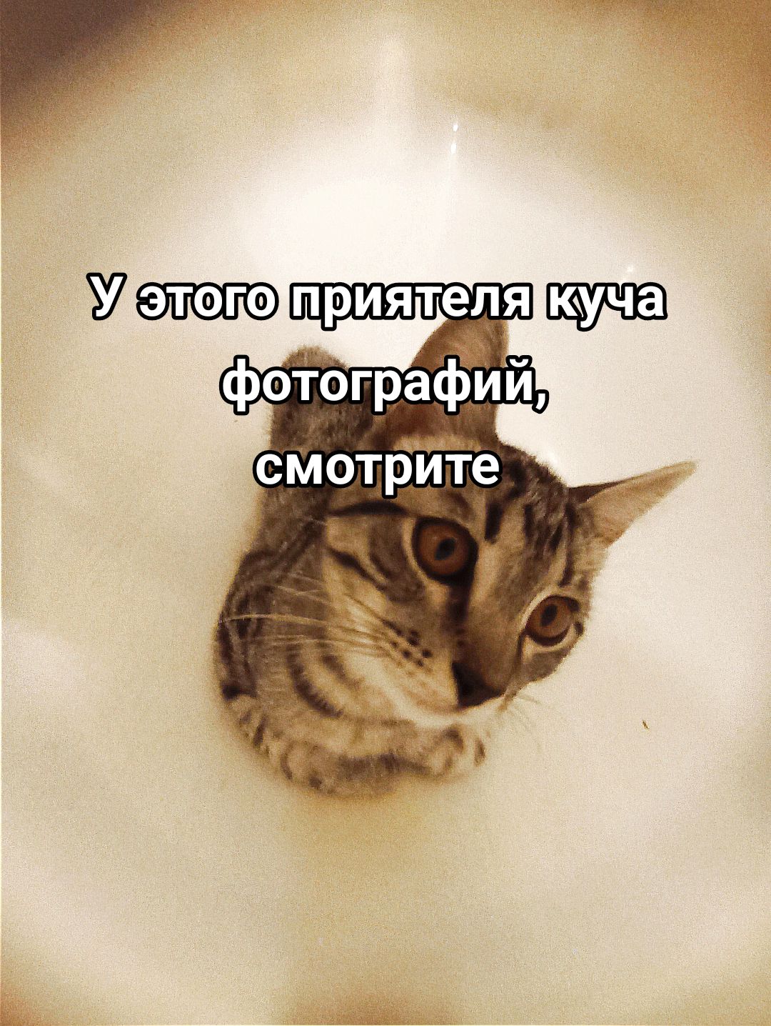 @qpngb