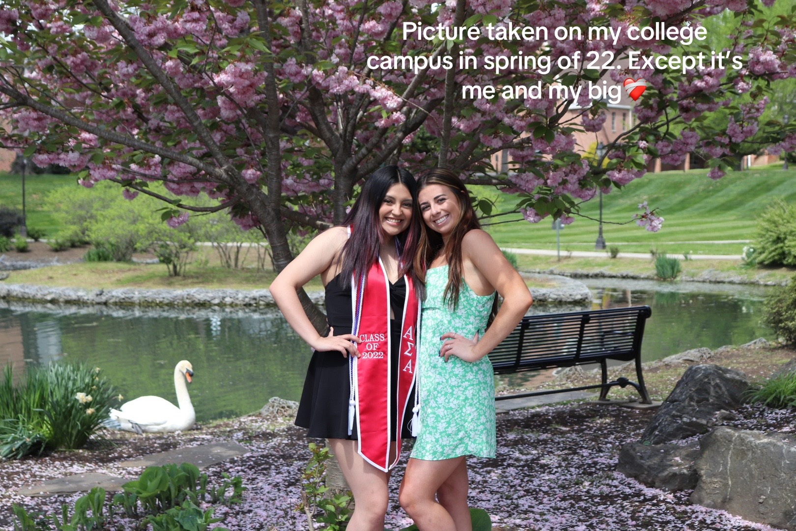 @annieocogs