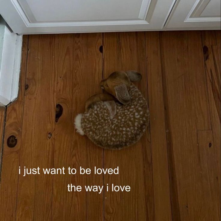@𝓟𝓪𝓵𝓸𝓶𝓪