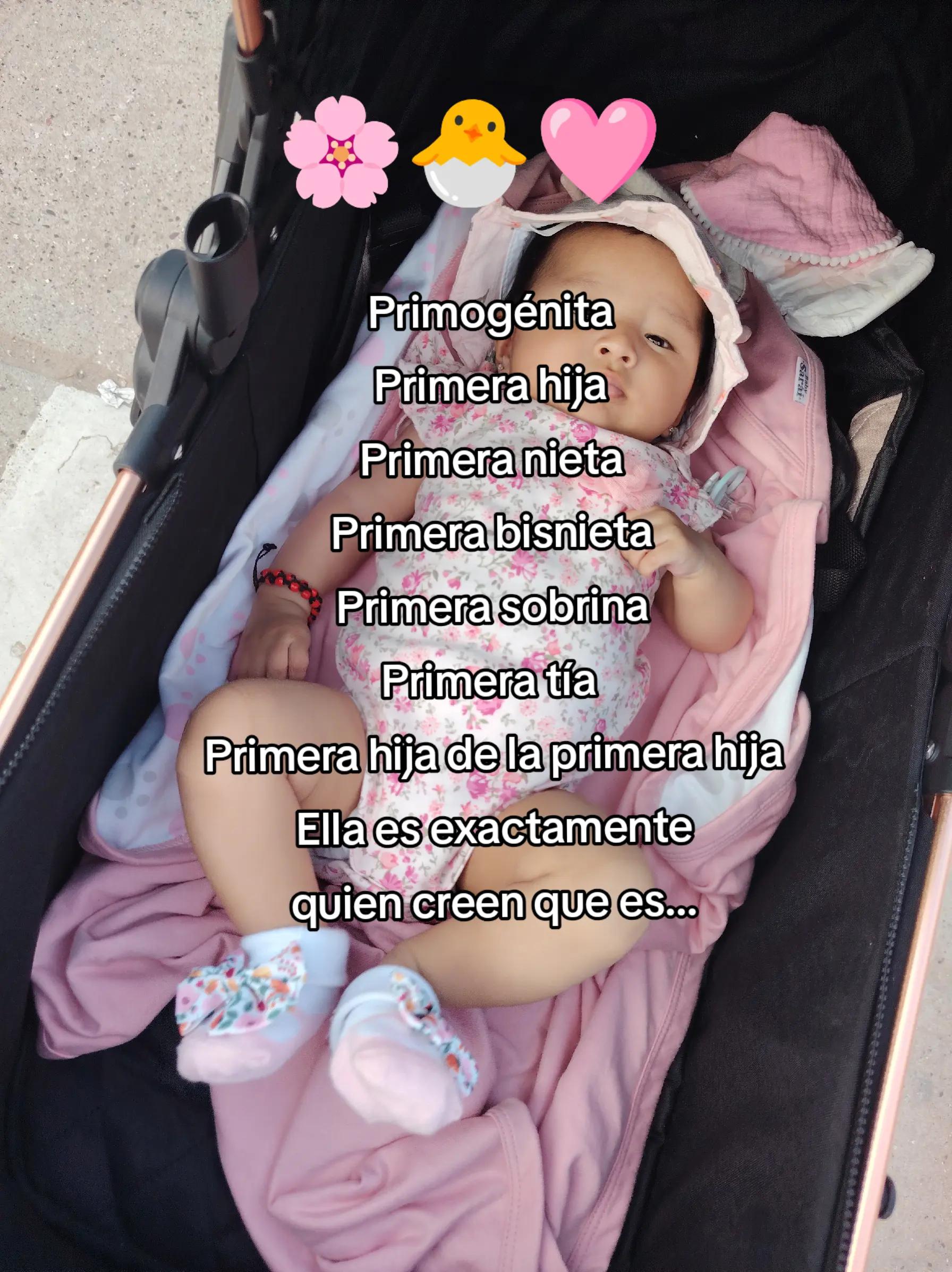 @Miley Yurico Quispe Saico