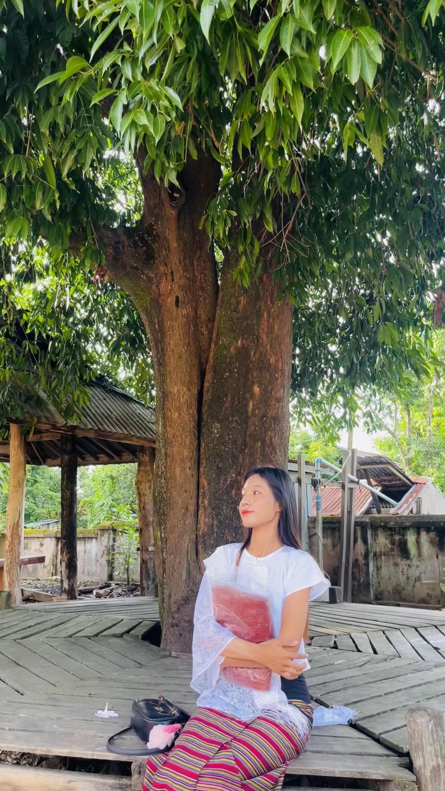 @shwe yeeဝန်းသိုသူ