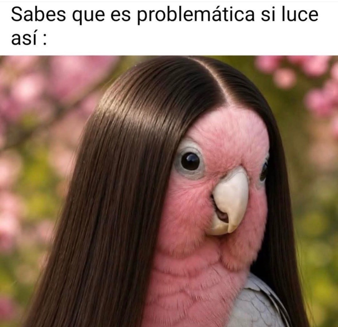 @Cecy🤓🐸🤘