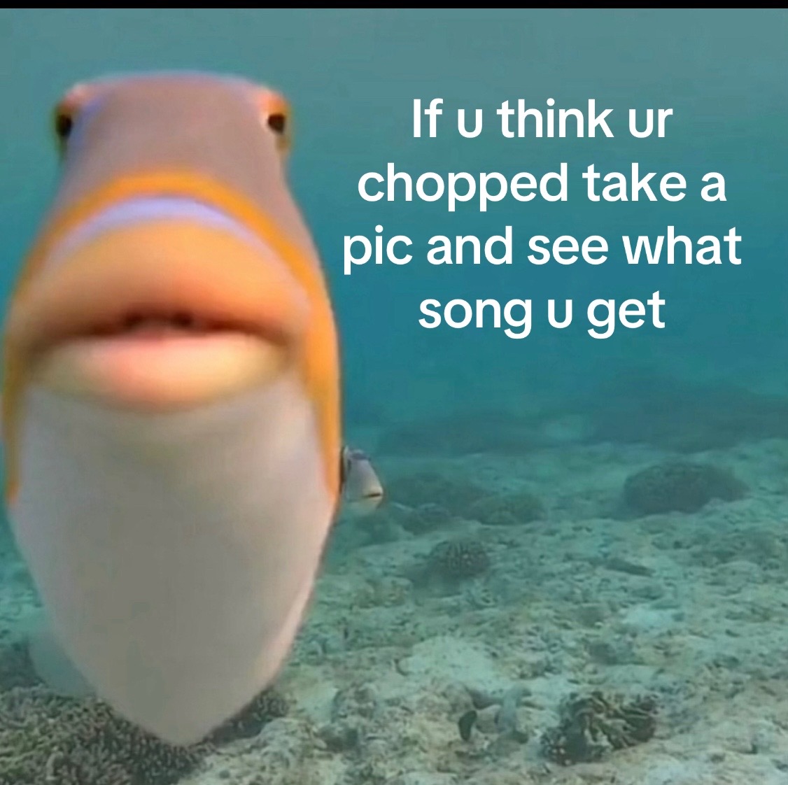 @please.help.george