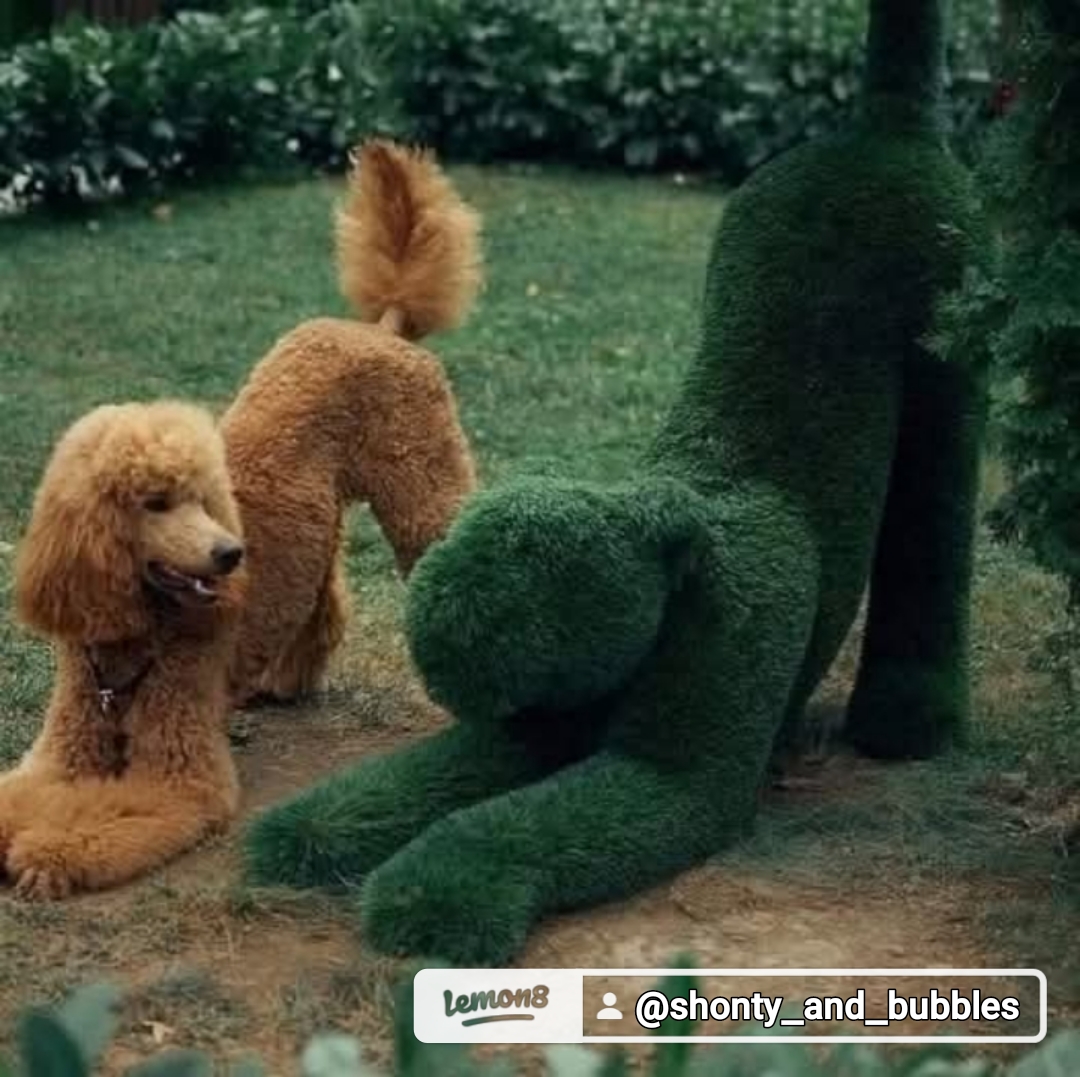 @shonty&Bubbles🙉🙊🙈