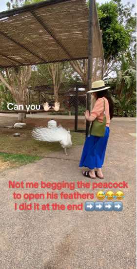 @Hasard
