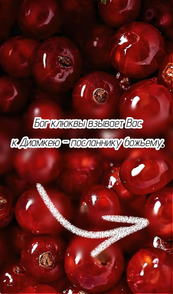 @селедка андрей [он/его]