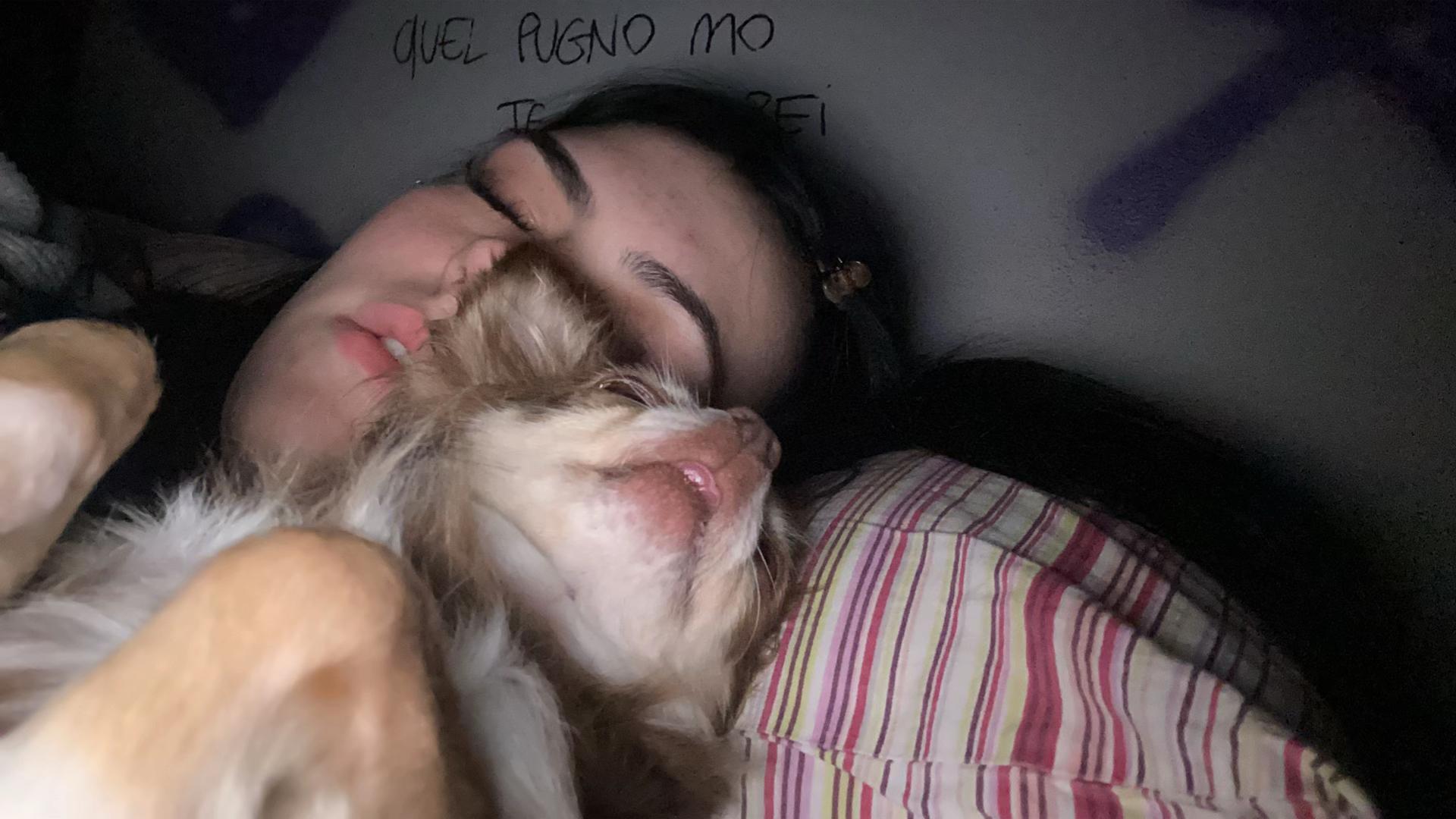 @rebeccamalacarneee