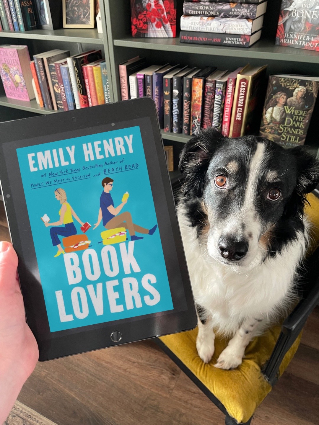 @goodreads.with.archie📚