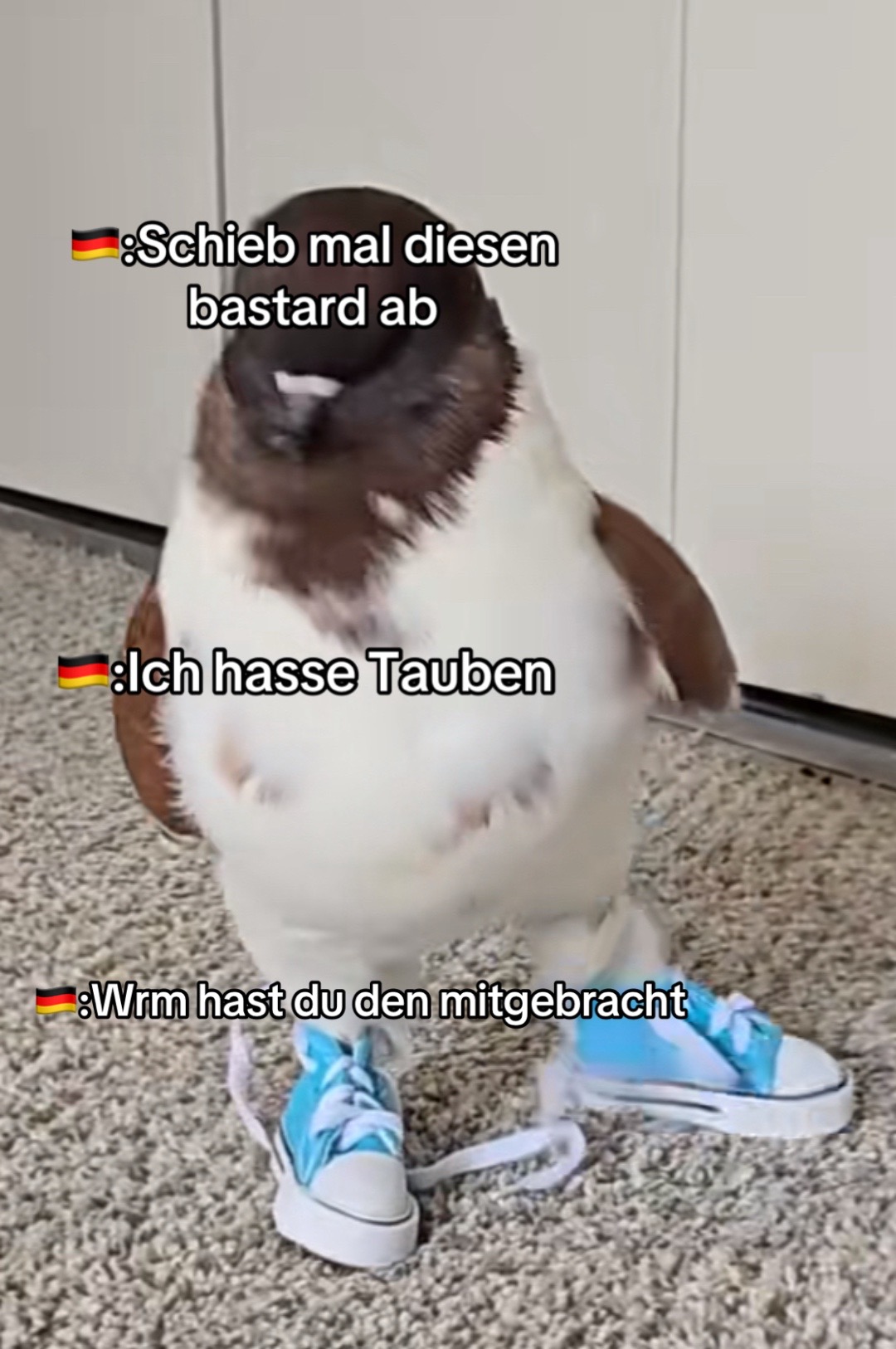 @YDCistcool