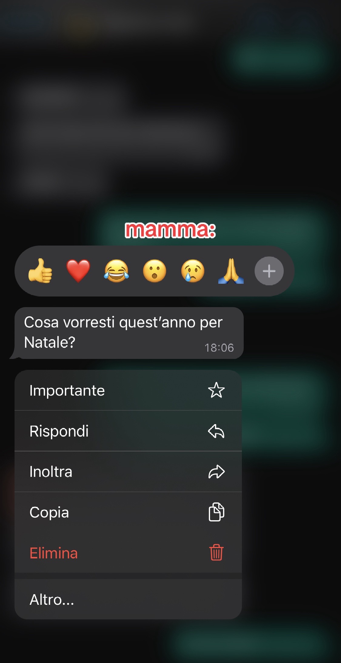 @Ragazzini Angelo👗