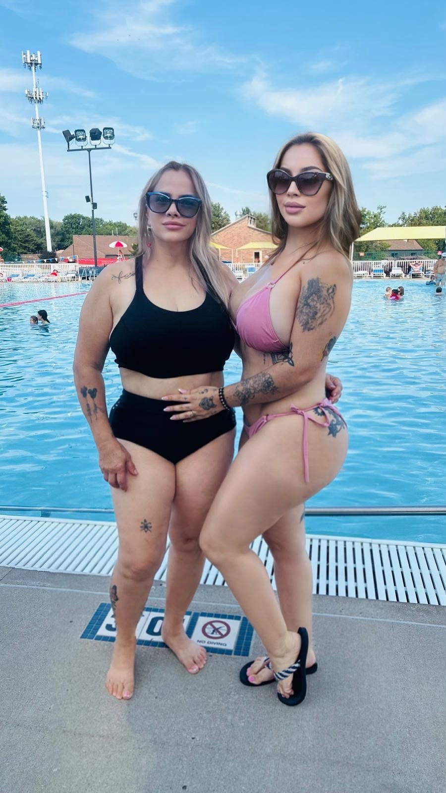 @MVDMMS
