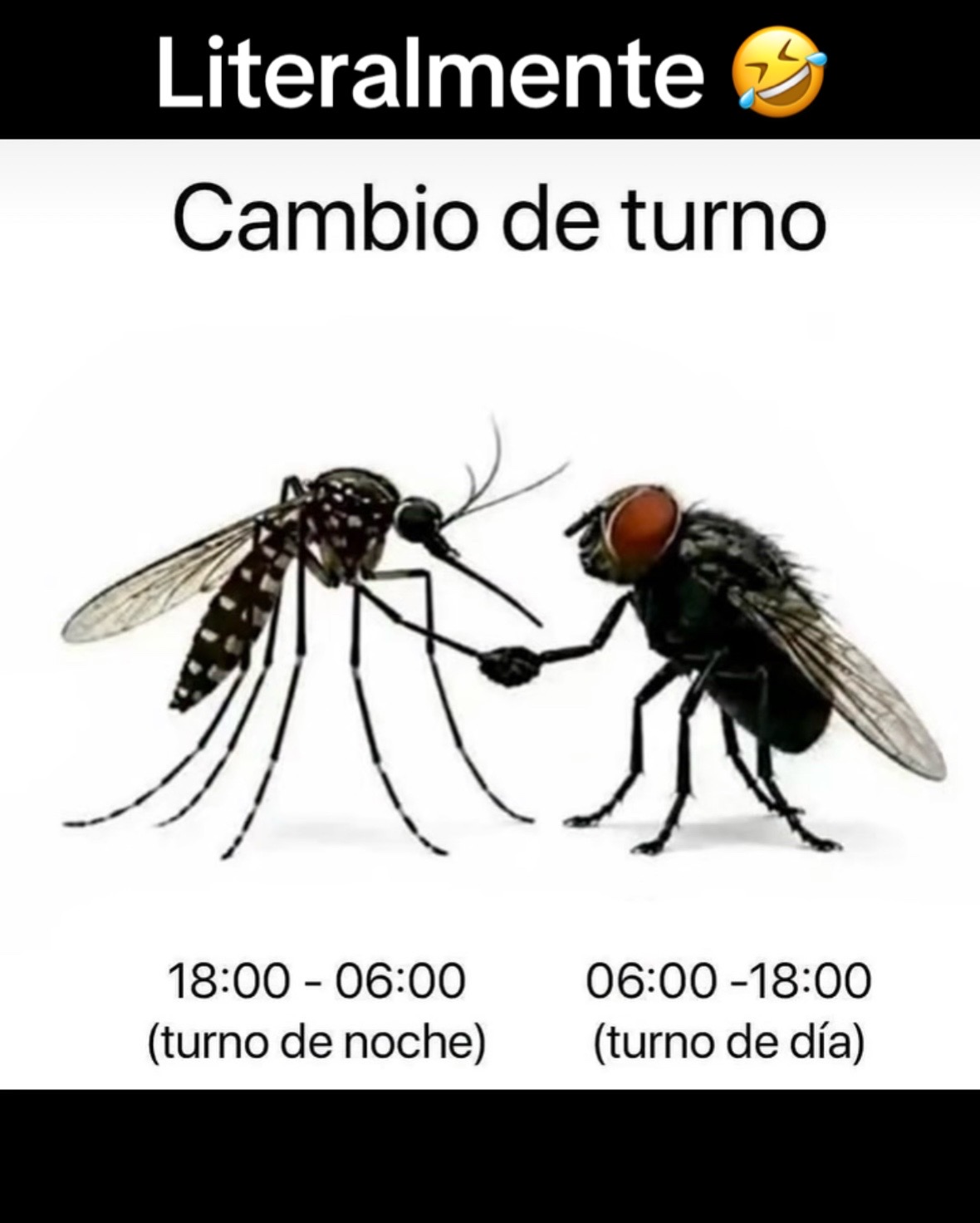 @Entretenido 💫💎💎