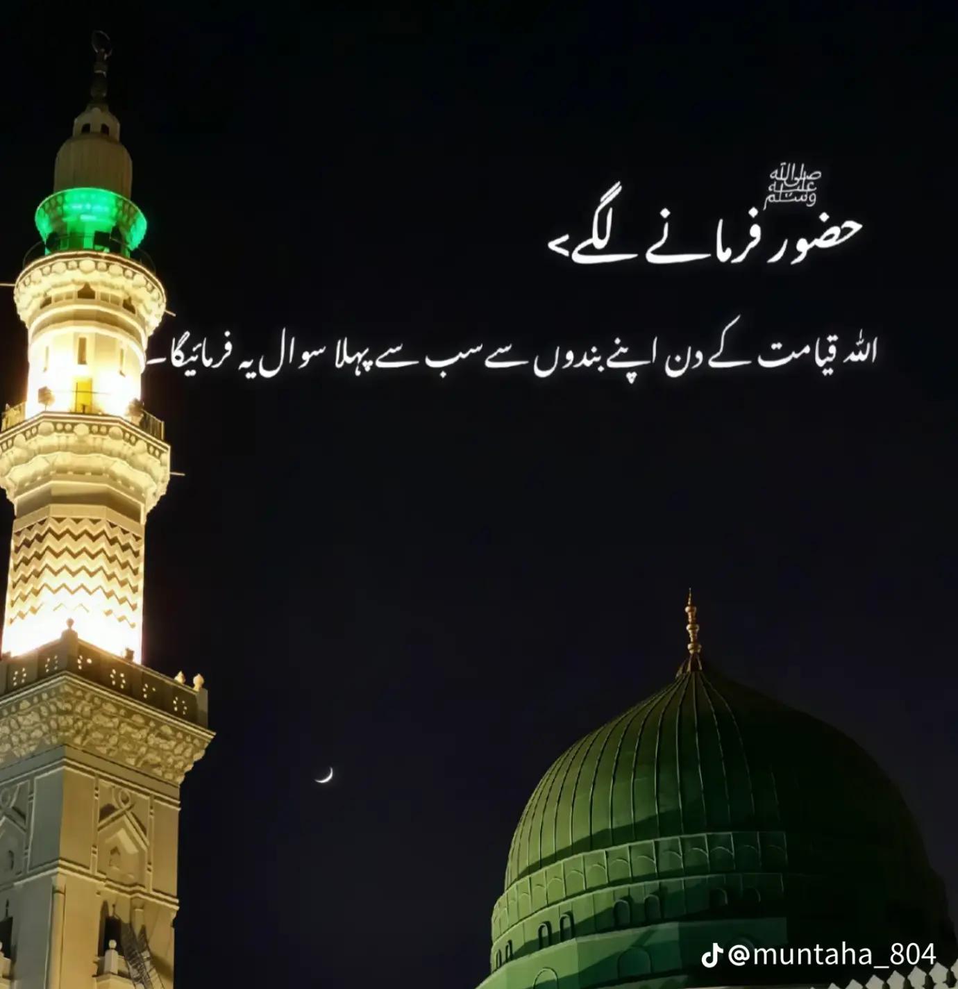 @🦁 sanwal