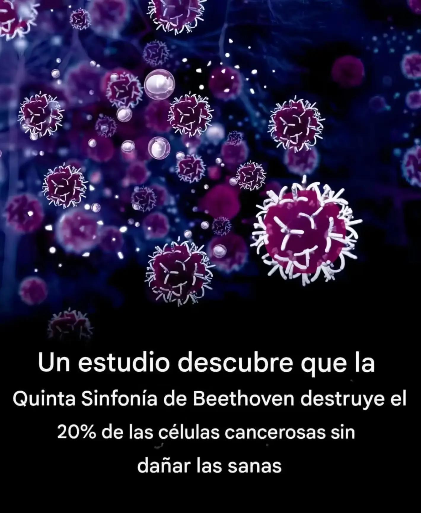 @machaxo